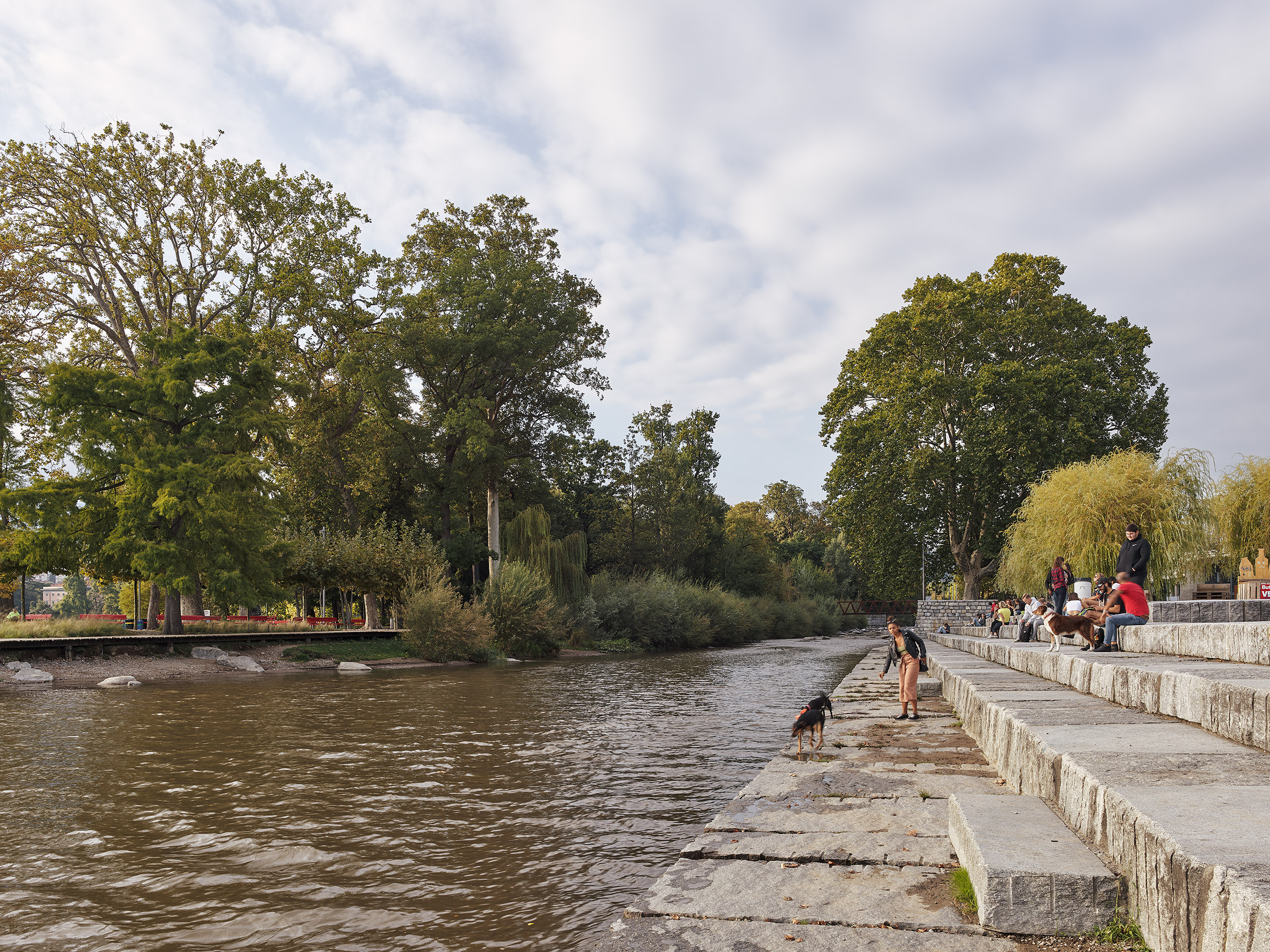 Ahp0053 CASS AIQ4 002490 C